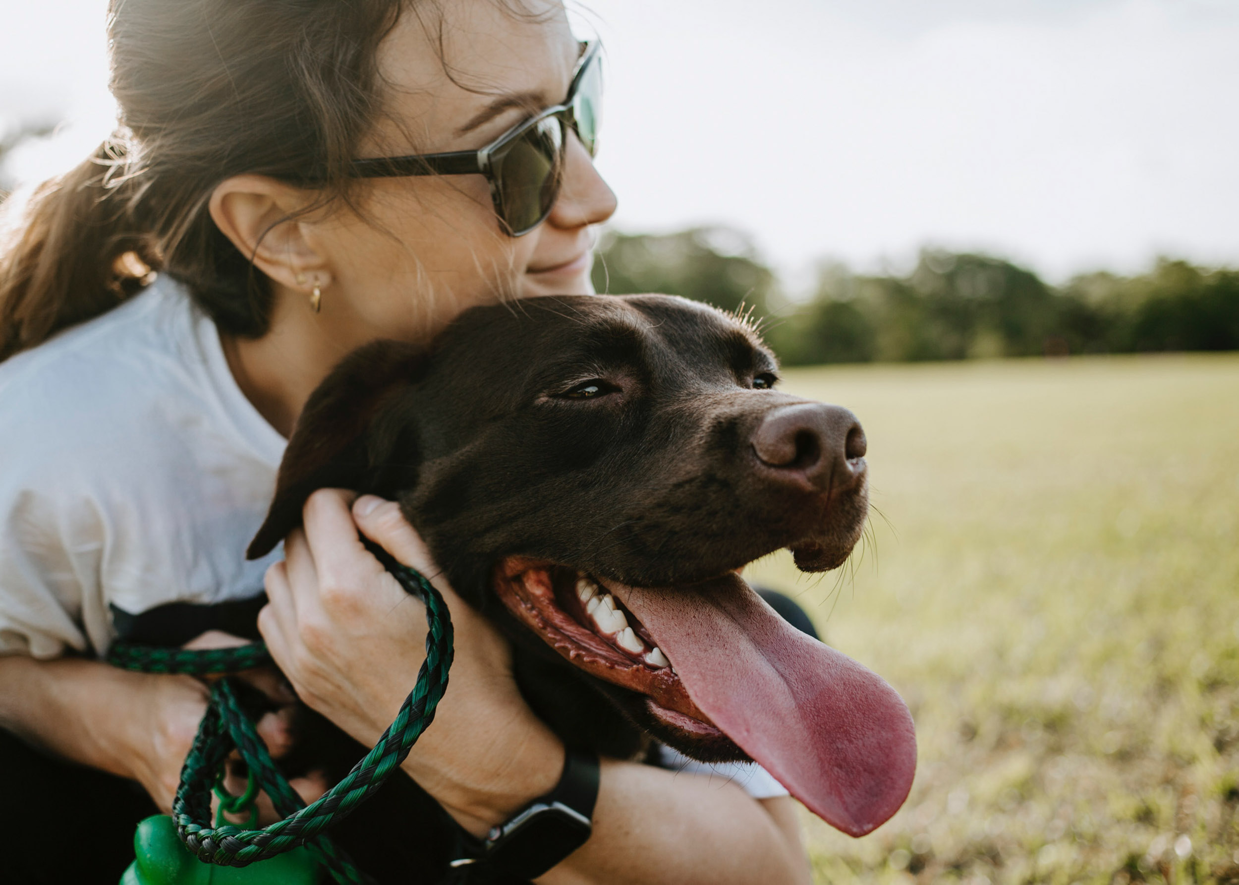 Girl hugging chocolate lab in field